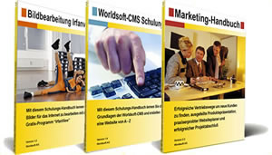 Werden Sie CMS Webmaster